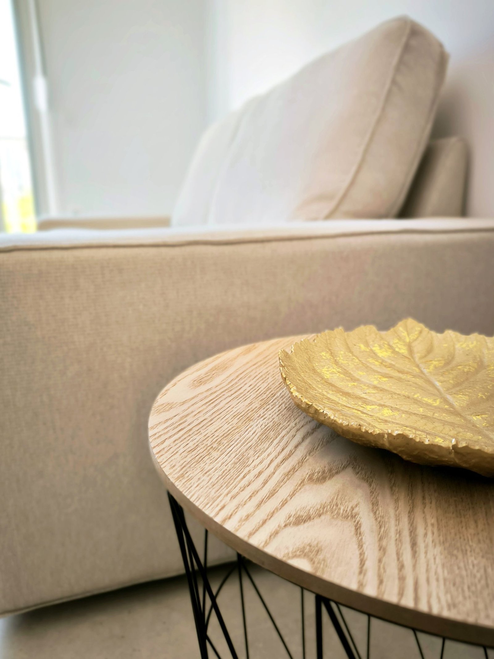 Living room - sofa and table