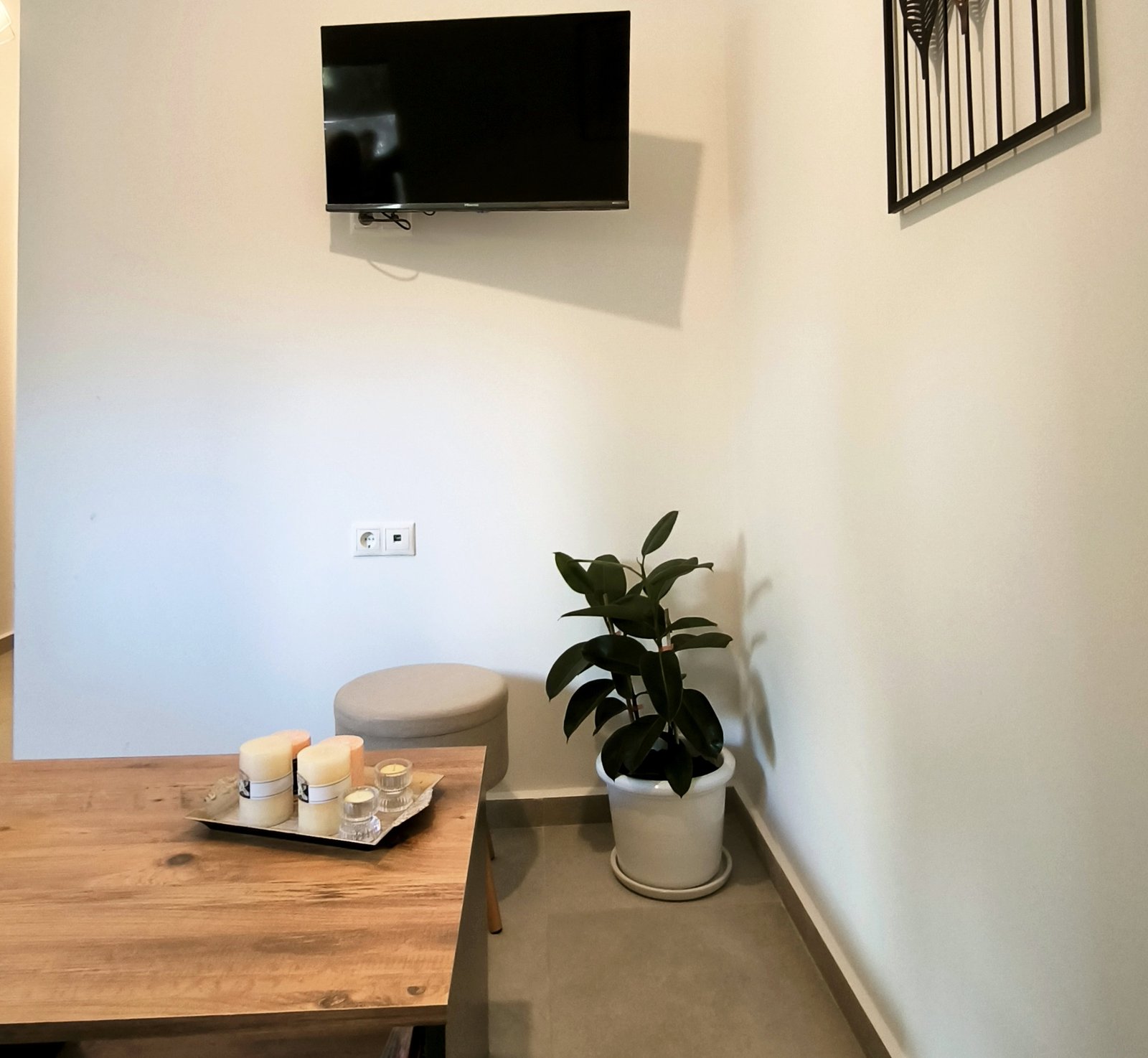 Living room - general view